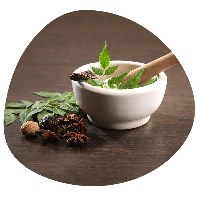 Ayurveda Bowl